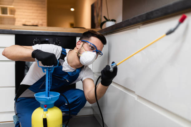 Reliable Homer City, PA Pest Control Solutions