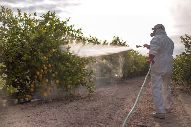 Best Commercial Pest Control Services  in Homer City, PA