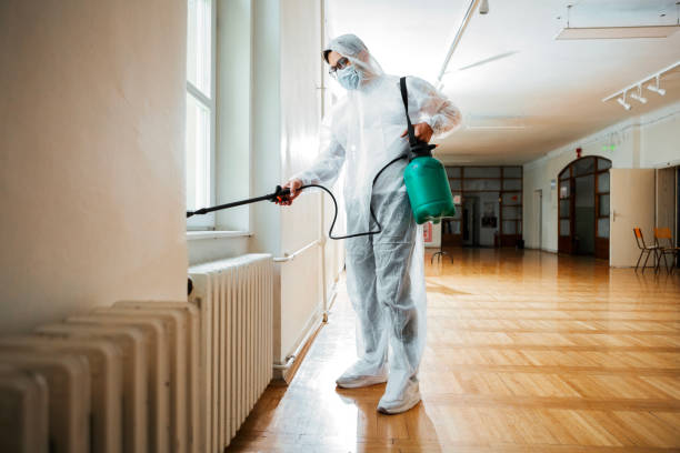 Insect Control in Homer City, PA