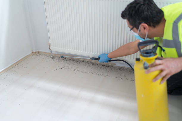 Best Termite Control Services  in Homer City, PA